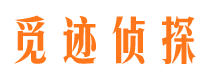 大田职业捉奸人